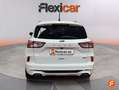 Ford Kuga 2.5 Duratec PHEV ST-Line 4x2 Blanco - thumbnail 8