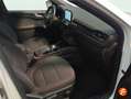 Ford Kuga 2.5 Duratec PHEV ST-Line 4x2 Blanco - thumbnail 21