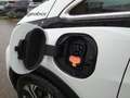 Opel Ampera Ampera-e Plus Blanco - thumbnail 19