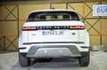 Land Rover Range Rover Evoque 2.0D MHEV S AWD Aut. 150 - thumbnail 15