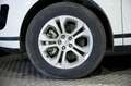 Land Rover Range Rover Evoque 2.0D MHEV S AWD Aut. 150 - thumbnail 13