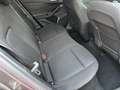 Ford Focus Focus 1.0 ecoboost h ST-Line Style 125cv Gris - thumbnail 13