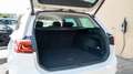 Volkswagen Passat Variant Business 2,0 SCR TDI DSG Weiß - thumbnail 12