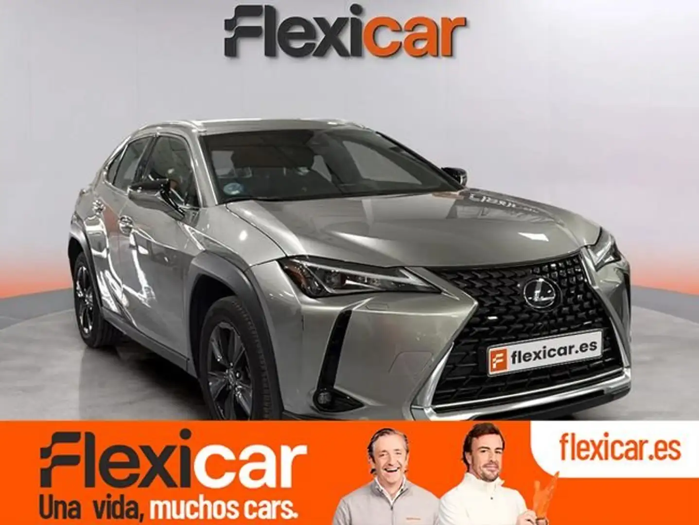 Lexus UX 250h 2.0 Business Gris - 1