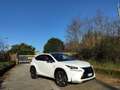 Lexus NX 300h F-SPORT FULL HYBRID 4WD GANCIO TRAINO TETTO Bianco - thumbnail 4