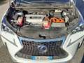 Lexus NX 300h F-SPORT FULL HYBRID 4WD GANCIO TRAINO TETTO Bianco - thumbnail 14
