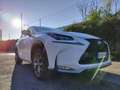 Lexus NX 300h F-SPORT FULL HYBRID 4WD GANCIO TRAINO TETTO Bianco - thumbnail 1