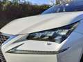 Lexus NX 300h F-SPORT FULL HYBRID 4WD GANCIO TRAINO TETTO Bianco - thumbnail 6