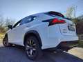 Lexus NX 300h F-SPORT FULL HYBRID 4WD GANCIO TRAINO TETTO Bianco - thumbnail 2