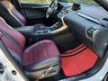 Lexus NX 300h F-SPORT FULL HYBRID 4WD GANCIO TRAINO TETTO Bianco - thumbnail 10