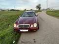 Mercedes-Benz CLK 230 CLK Coupe 230 Kompressor Elegance Rot - thumbnail 1