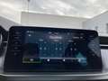 Skoda Kamiq Monte Carlo TSI DSG Blau - thumbnail 12