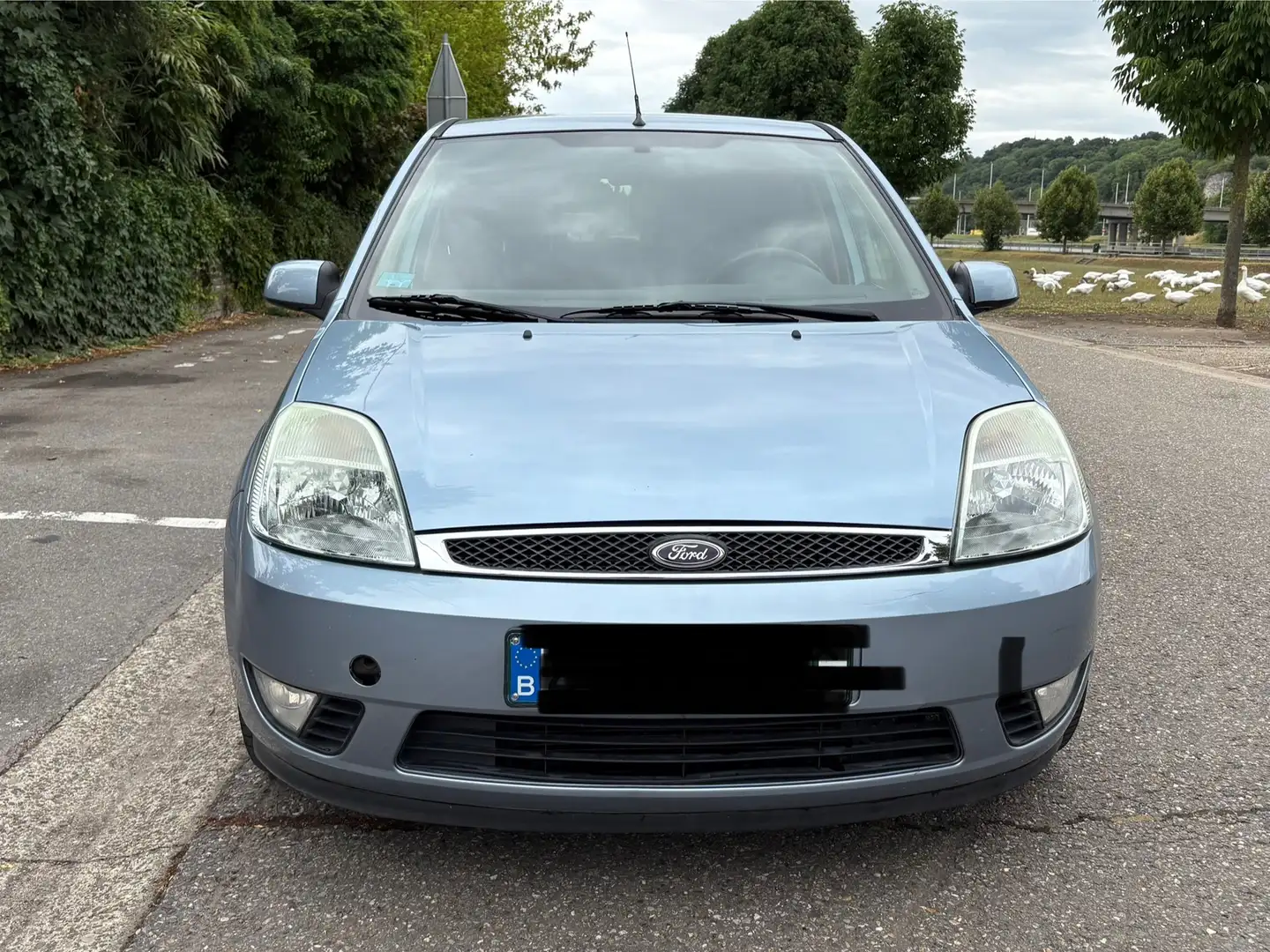 Ford Fiesta 1.4 Turbo TDCi Trend 127.000 Km - 1