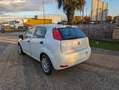 Fiat Punto 5p 1.3 mjt Street PRONTA CONSEGNA White - thumbnail 5