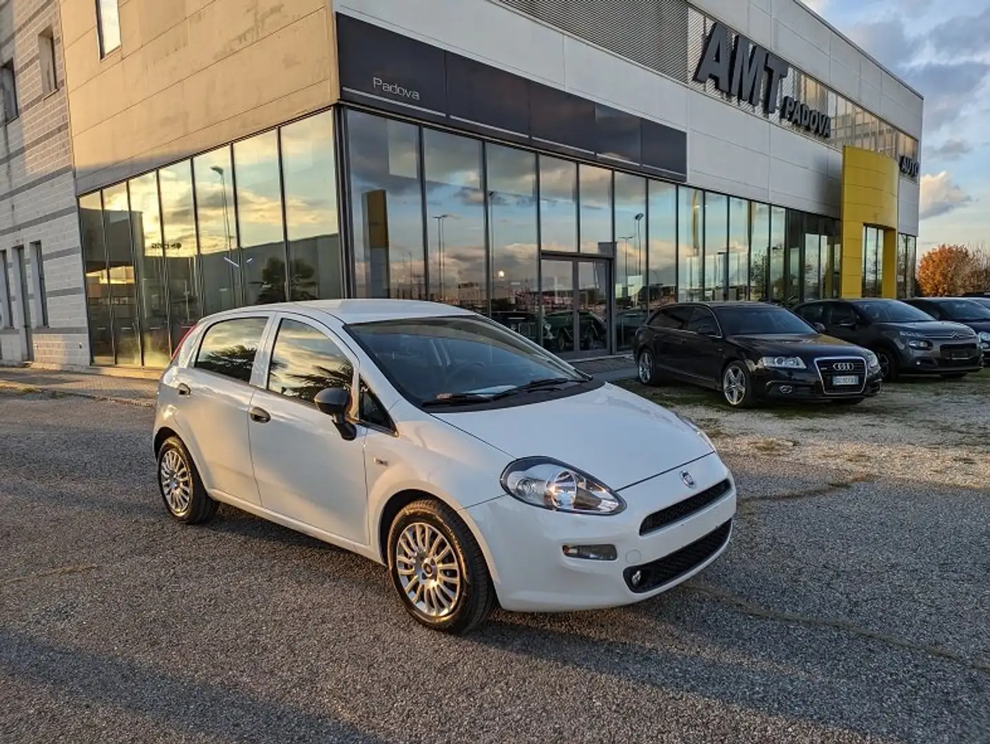 Fiat Punto 5p 1.3 mjt Street PRONTA CONSEGNA Beyaz - 1