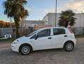 Fiat Punto 5p 1.3 mjt Street PRONTA CONSEGNA White - thumbnail 2