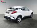 Toyota C-HR 1.2 Flow 4x2 +Allwetter+DAB+Tempomat Weiß - thumbnail 6