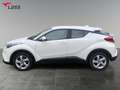 Toyota C-HR 1.2 Flow 4x2 +Allwetter+DAB+Tempomat Weiß - thumbnail 3