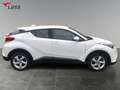 Toyota C-HR 1.2 Flow 4x2 +Allwetter+DAB+Tempomat Weiß - thumbnail 7