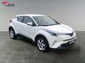 Toyota C-HR 1.2 Flow 4x2 +Allwetter+DAB+Tempomat Weiß - thumbnail 8