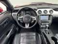 Ford Mustang 5,0 Ti-VCT V8 GT Aut.| FACELIFT SHELBY GT LOOK Rot - thumbnail 12