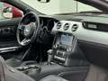 Ford Mustang 5,0 Ti-VCT V8 GT Aut.| FACELIFT SHELBY GT LOOK Rot - thumbnail 14