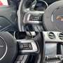 Ford Mustang 5,0 Ti-VCT V8 GT Aut.| FACELIFT SHELBY GT LOOK Rot - thumbnail 16