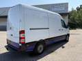 Mercedes-Benz Sprinter 319 3.0 BlueTEC 366 Blanco - thumbnail 12