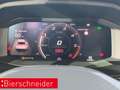 CUPRA Formentor 2.0 TDI DSG 4Drive LED NAVI AHK BEATS PARKLENK ACC Grau - thumbnail 10