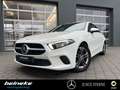 Mercedes-Benz A 200 A 200 Progressive PTS+RüKa LED MBUX-Premium Xenon Weiß - thumbnail 2
