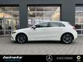 Mercedes-Benz A 200 A 200 Progressive PTS+RüKa LED MBUX-Premium Xenon Weiß - thumbnail 3