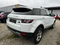 Land Rover Range Rover Evoque TD4 Pure Wit - thumbnail 3