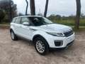 Land Rover Range Rover Evoque 2.0 TD4 150 CV 5p. PRONTA CONSEGNA Bianco - thumbnail 3