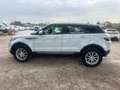 Land Rover Range Rover Evoque 2.0 TD4 150 CV 5p. PRONTA CONSEGNA Bianco - thumbnail 8