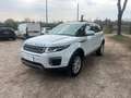 Land Rover Range Rover Evoque 2.0 TD4 150 CV 5p. PRONTA CONSEGNA Bianco - thumbnail 1