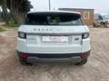 Land Rover Range Rover Evoque 2.0 TD4 150 CV 5p. PRONTA CONSEGNA Bianco - thumbnail 6