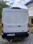 Ford Transit Transit Variobus 2,0 EcoBlue L2H2 330 Ambiente Ambiente Weiß - thumbnail 2