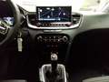 Kia Ceed / cee'd Ultimate Edition 1.5T Mild-Hybrid Style-Paket Navi Schwarz - thumbnail 13
