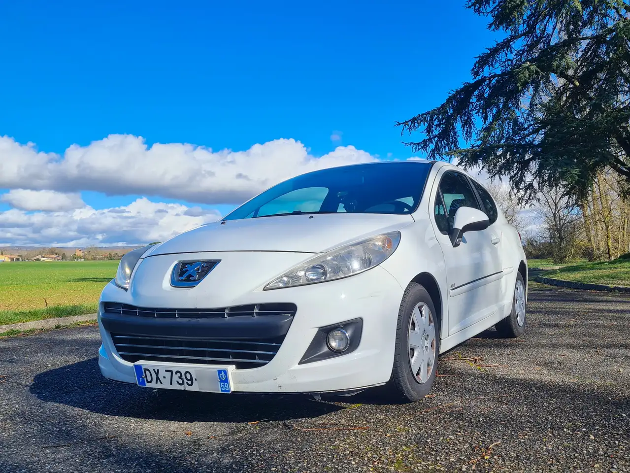 Peugeot 207 1.6 HDi 90ch FAP 99g BLUE LION Active