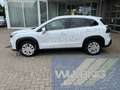 Suzuki 1.5 Dualjet Hybrid 4x4 Comfort Autom. ACC Kamera 8 Blanco - thumbnail 2