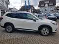 Subaru Forester 2.0ie Comfort Lineartronic Blanco - thumbnail 4