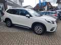 Subaru Forester 2.0ie Comfort Lineartronic Blanco - thumbnail 3