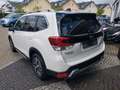 Subaru Forester 2.0ie Comfort Lineartronic Blanco - thumbnail 6