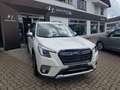 Subaru Forester 2.0ie Comfort Lineartronic Blanco - thumbnail 2