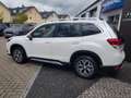 Subaru Forester 2.0ie Comfort Lineartronic Blanco - thumbnail 7