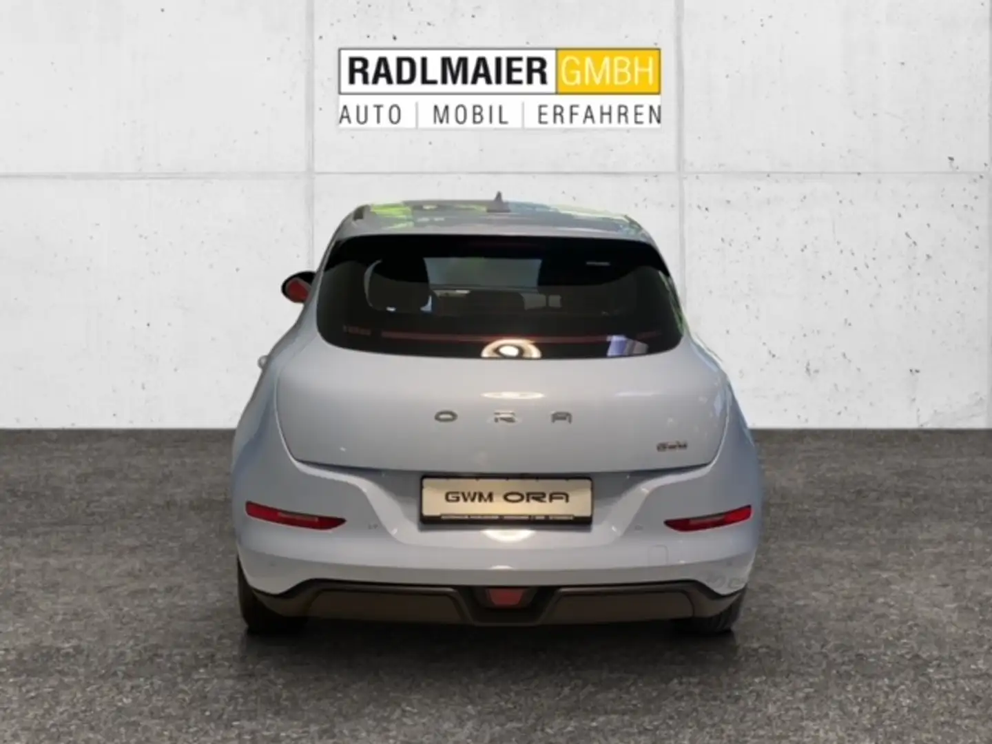 GWM ORA 03 300 Blau - 2