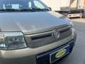 Fiat Panda 1.3 MJT 16V DPF 4x4 Climbing Gold - thumbnail 22