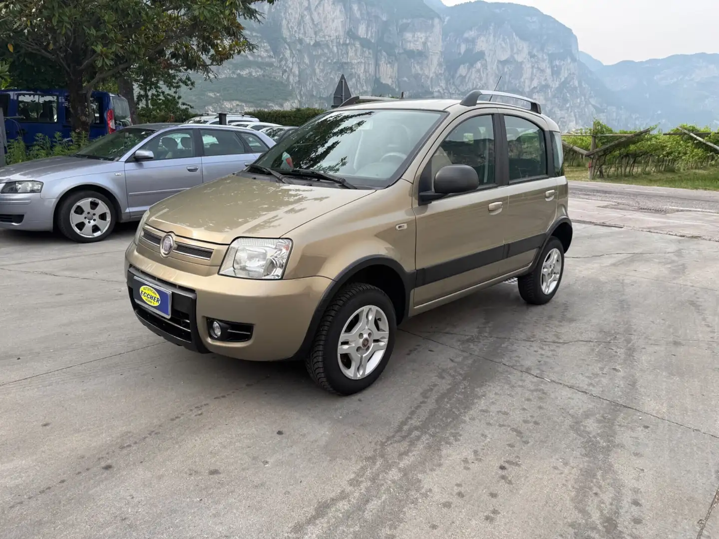 Fiat Panda 1.3 MJT 16V DPF 4x4 Climbing Oro - 1