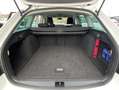 Skoda Octavia Combi 1.6 TDI TOUR ACC+SMART-LINK+NAVI+D Weiß - thumbnail 12