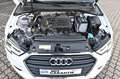 Audi A3 Limousine Navi BI-Xenon 2xPDC Sitzhz White - thumbnail 19